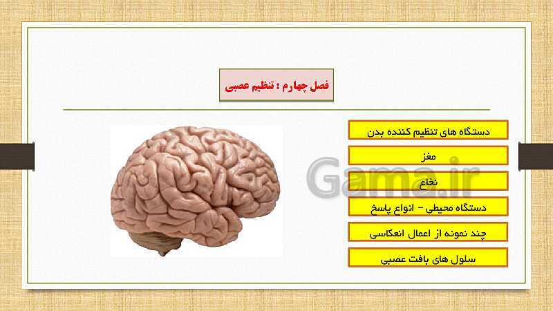 پاورپوینت دستگاه عصبی (فصل 4 علوم هشتم)- پیش نمایش