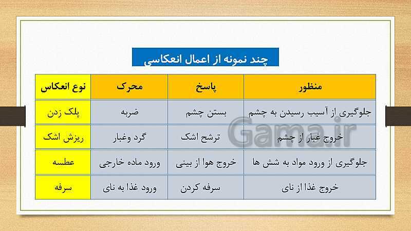 پاورپوینت دستگاه عصبی (فصل 4 علوم هشتم)- پیش نمایش