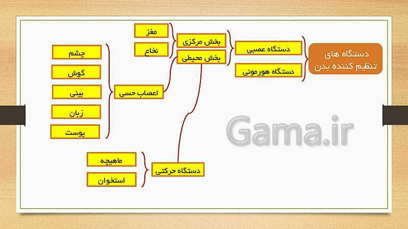 پاورپوینت دستگاه حسی (فصل 5 علوم هشتم)- پیش نمایش