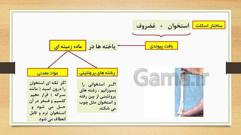 پاورپوینت دستگاه حرکتی (فصل 5 علوم هشتم)- پیش نمایش