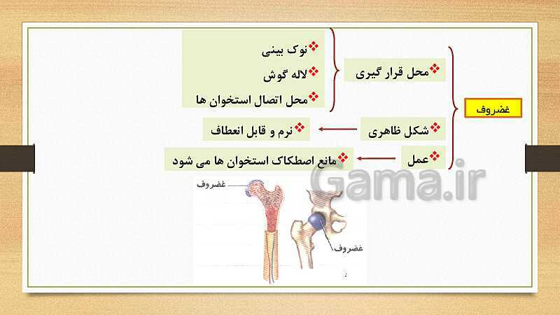 پاورپوینت دستگاه حرکتی (فصل 5 علوم هشتم)- پیش نمایش