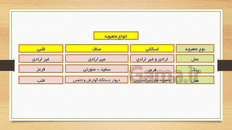 پاورپوینت دستگاه حرکتی (فصل 5 علوم هشتم)- پیش نمایش