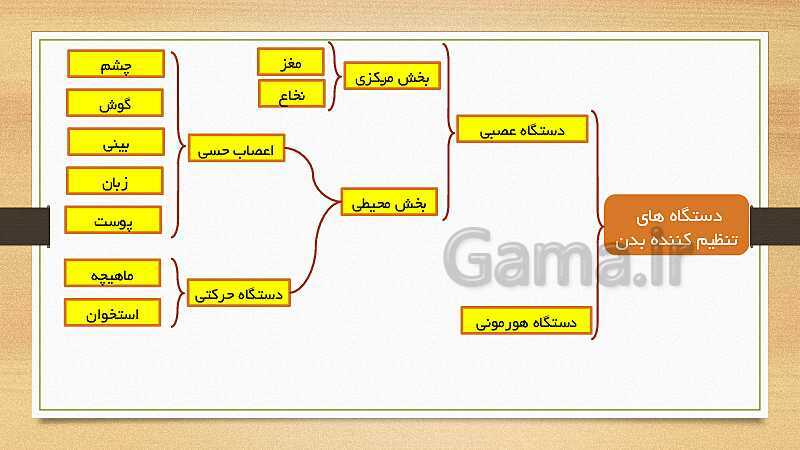 پاورپوینت تنظیم هورمونی (فصل 6 علوم هشتم)- پیش نمایش