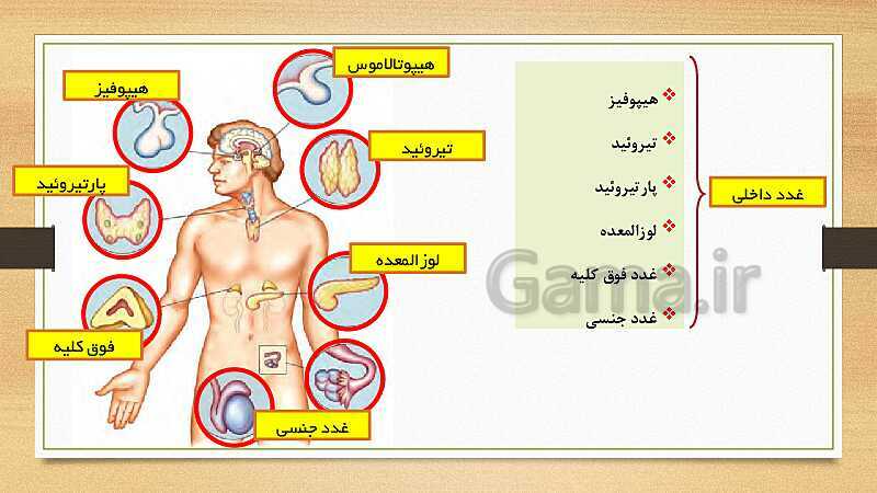 پاورپوینت تنظیم هورمونی (فصل 6 علوم هشتم)- پیش نمایش