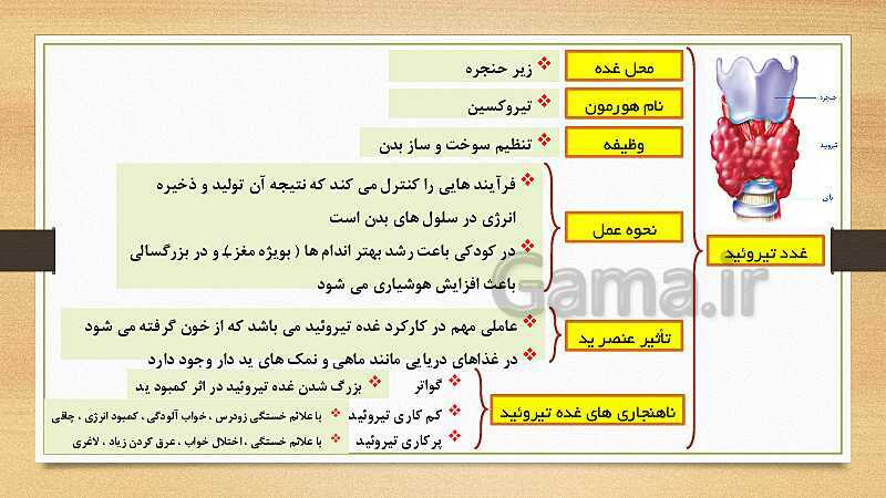 پاورپوینت تنظیم هورمونی (فصل 6 علوم هشتم)- پیش نمایش