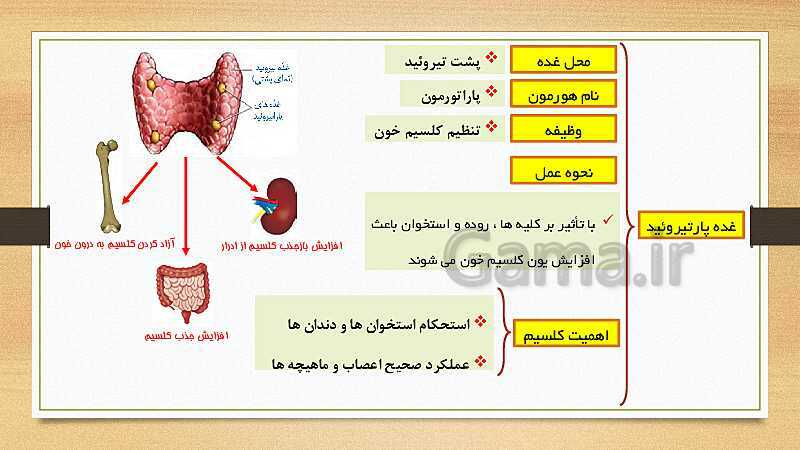 پاورپوینت تنظیم هورمونی (فصل 6 علوم هشتم)- پیش نمایش