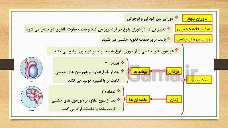 پاورپوینت تنظیم هورمونی (فصل 6 علوم هشتم)- پیش نمایش