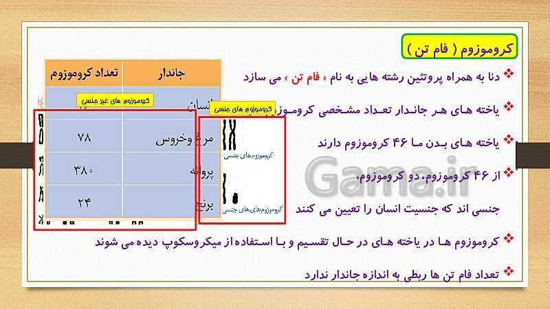 پاورپوینت الفبای زیست فناوری (فصل 7 علوم هشتم)- پیش نمایش