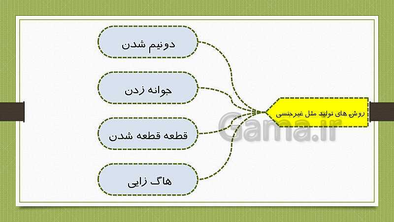 پاورپوینت تولیدمثل در جانداران (فصل 8 علوم هشتم)- پیش نمایش