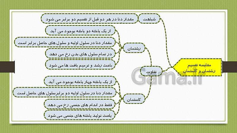 پاورپوینت تولیدمثل در جانداران (فصل 8 علوم هشتم)- پیش نمایش