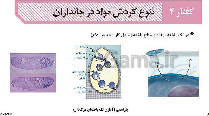 پاورپوینت گفتار چهارم فصل 4 زیست دهم: تنوع گردش مواد در جانداران- پیش نمایش