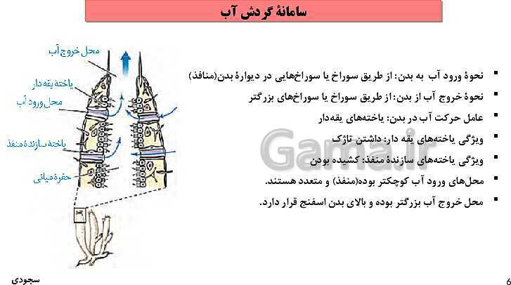 پاورپوینت گفتار چهارم فصل 4 زیست دهم: تنوع گردش مواد در جانداران- پیش نمایش