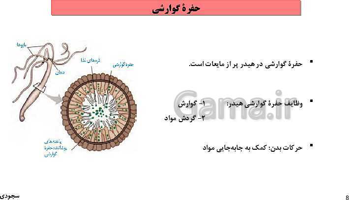 پاورپوینت گفتار چهارم فصل 4 زیست دهم: تنوع گردش مواد در جانداران- پیش نمایش