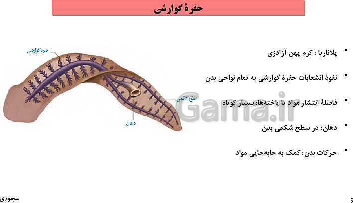 پاورپوینت گفتار چهارم فصل 4 زیست دهم: تنوع گردش مواد در جانداران- پیش نمایش