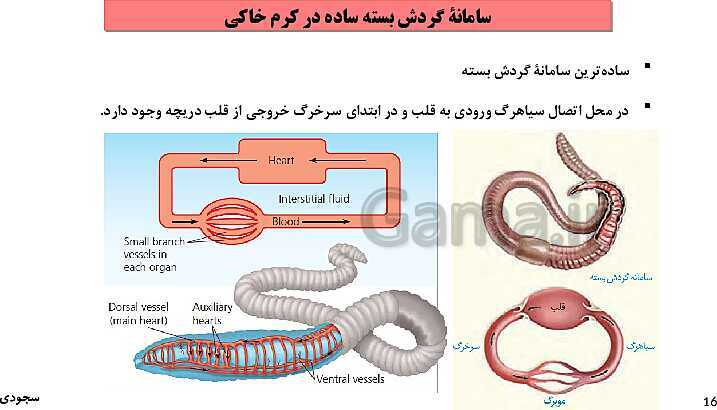 پاورپوینت گفتار چهارم فصل 4 زیست دهم: تنوع گردش مواد در جانداران- پیش نمایش