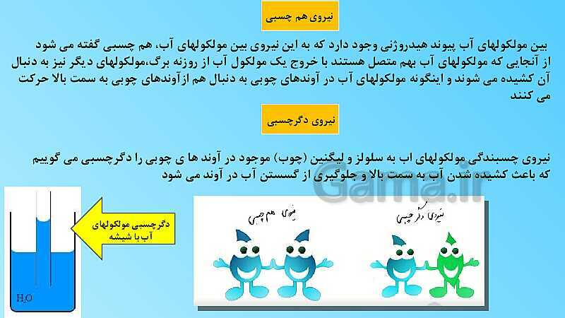 پاورپوینت تدریس مفهومی علوم تجربی نهم | فصل 12: دنیای گیاهان- پیش نمایش