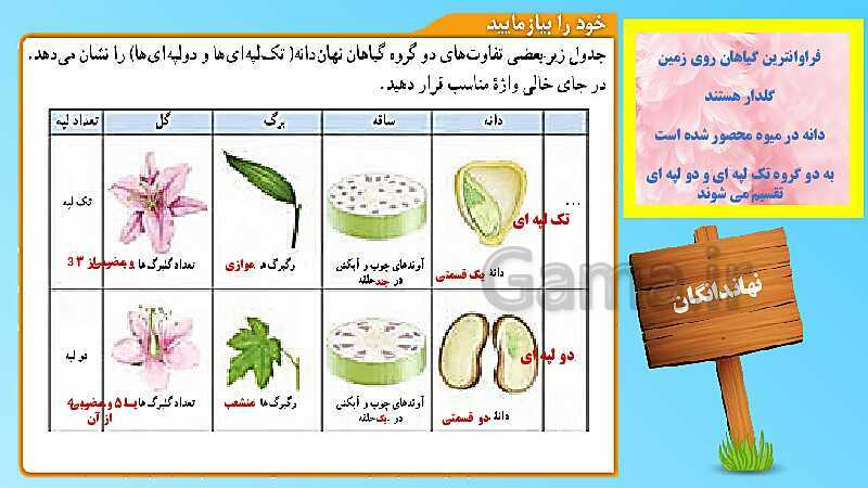 پاورپوینت تدریس مفهومی علوم تجربی نهم | فصل 12: دنیای گیاهان- پیش نمایش