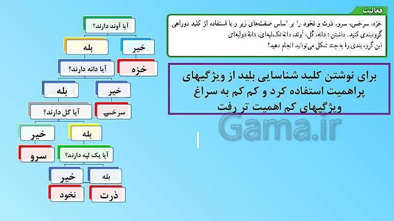 پاورپوینت تدریس مفهومی علوم تجربی نهم | فصل 12: دنیای گیاهان- پیش نمایش