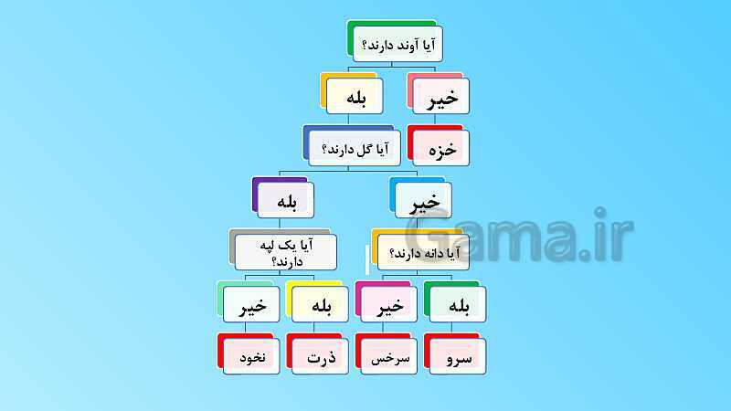 پاورپوینت تدریس مفهومی علوم تجربی نهم | فصل 12: دنیای گیاهان- پیش نمایش