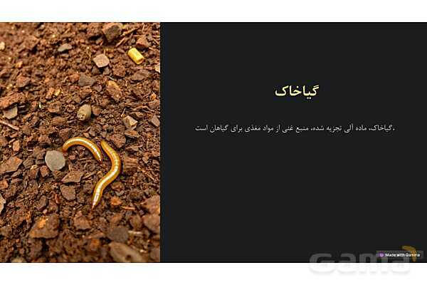 پاورپوینت درس 10: خاک با ارزش علوم پنجم دبستان- پیش نمایش