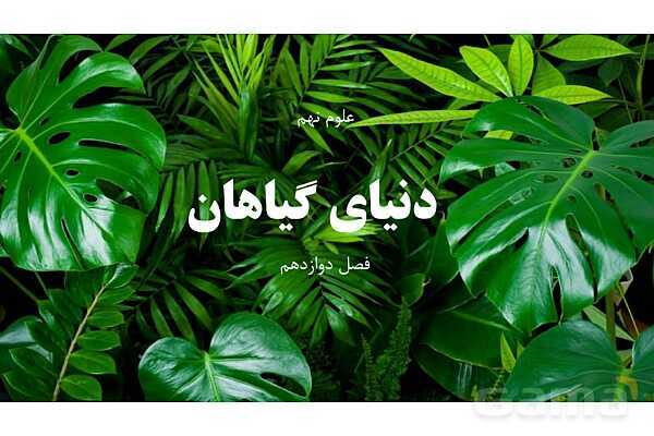 پاورپوینت علوم نهم فصل 12: دنیای گیاهان- پیش نمایش