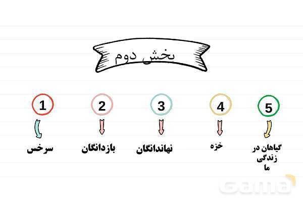 پاورپوینت علوم نهم فصل 12: دنیای گیاهان- پیش نمایش
