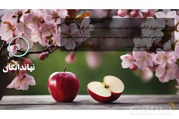 پاورپوینت علوم نهم فصل 12: دنیای گیاهان- پیش نمایش