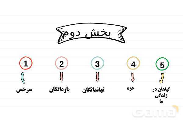 پاورپوینت علوم نهم فصل 12: دنیای گیاهان- پیش نمایش