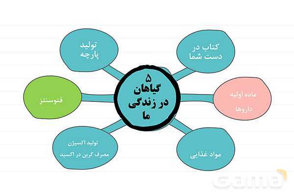 پاورپوینت علوم نهم فصل 12: دنیای گیاهان- پیش نمایش