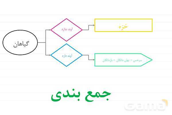 پاورپوینت علوم نهم فصل 12: دنیای گیاهان- پیش نمایش