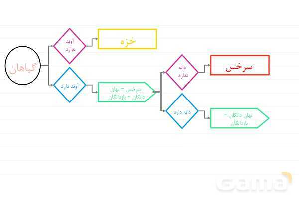 پاورپوینت علوم نهم فصل 12: دنیای گیاهان- پیش نمایش