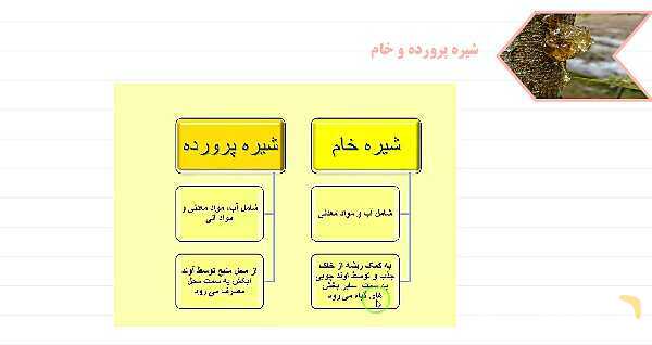 پاورپوینت علوم نهم فصل 12: دنیای گیاهان- پیش نمایش