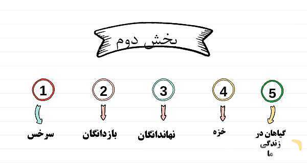 پاورپوینت علوم نهم فصل 12: دنیای گیاهان- پیش نمایش