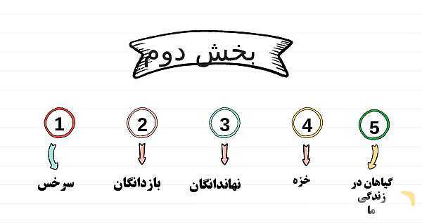 پاورپوینت علوم نهم فصل 12: دنیای گیاهان- پیش نمایش