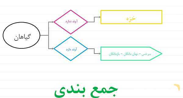 پاورپوینت علوم نهم فصل 12: دنیای گیاهان- پیش نمایش