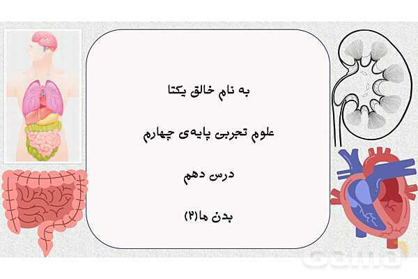 پاورپوینت آموزش درس 10 علوم تجربی پایهی چهارم: بدن ما (2)- پیش نمایش