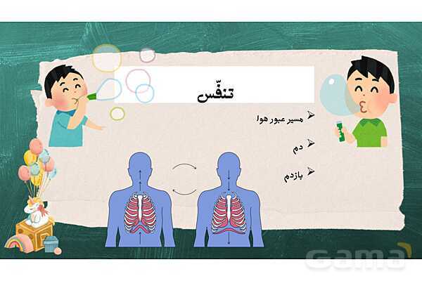 پاورپوینت آموزش درس 10 علوم تجربی پایهی چهارم: بدن ما (2)- پیش نمایش