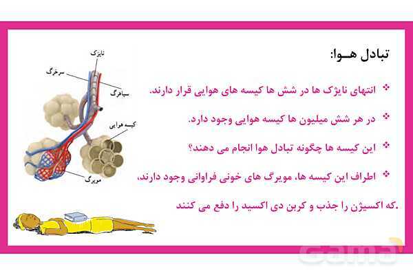 پاورپوینت علوم تجربی هفتم | فصل 15: تبادل با محیط- پیش نمایش