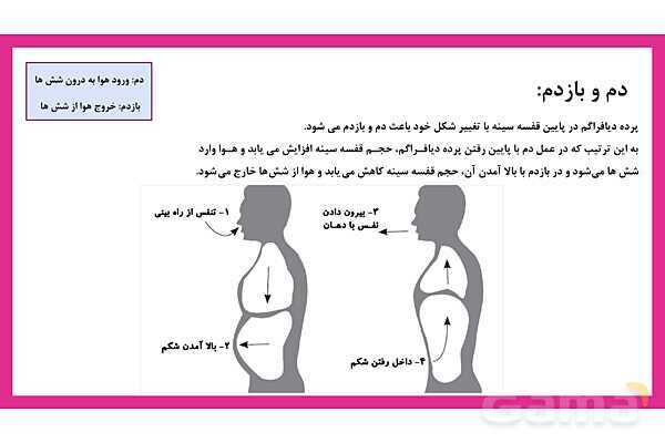 پاورپوینت علوم تجربی هفتم | فصل 15: تبادل با محیط- پیش نمایش