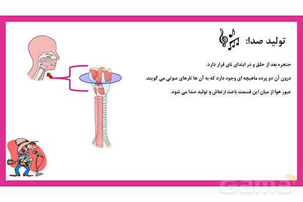 پاورپوینت علوم تجربی هفتم | فصل 15: تبادل با محیط- پیش نمایش