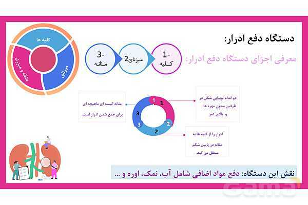پاورپوینت علوم تجربی هفتم | فصل 15: تبادل با محیط- پیش نمایش