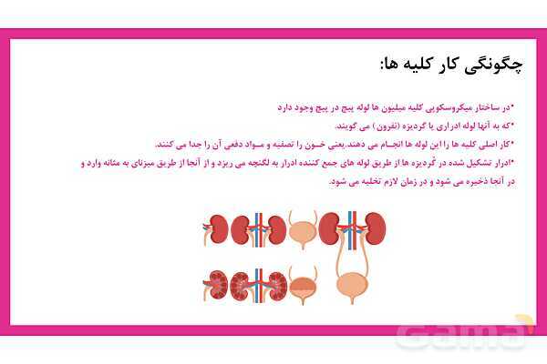 پاورپوینت علوم تجربی هفتم | فصل 15: تبادل با محیط- پیش نمایش