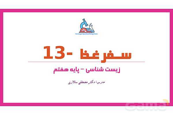 پاورپوینت علوم تجربی هفتم | فصل 13: سفر غذا- پیش نمایش