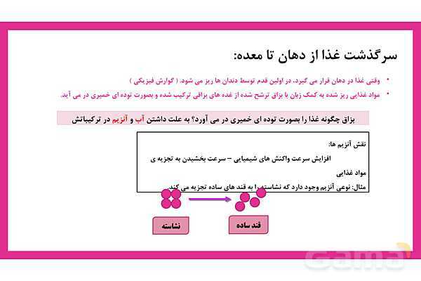 پاورپوینت علوم تجربی هفتم | فصل 13: سفر غذا- پیش نمایش