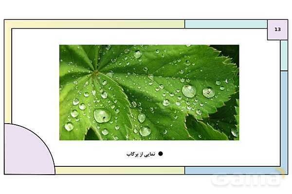 پاورپوینت درس 1: آب، سرچشمه زندگی | کتاب درسی انسان و محیط زیست پایه یازدهم- پیش نمایش