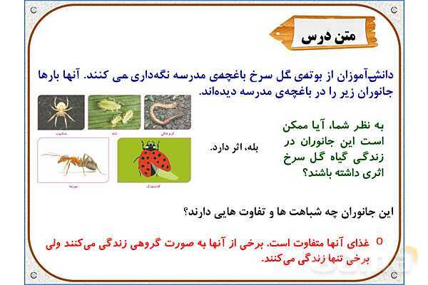 پاورپوینت علوم تجربی چهارم دبستان | درس 11: بیمهرهها- پیش نمایش