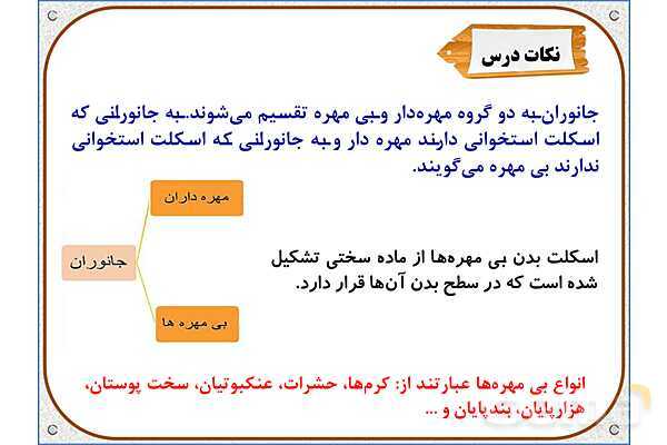 پاورپوینت علوم تجربی چهارم دبستان | درس 11: بیمهرهها- پیش نمایش