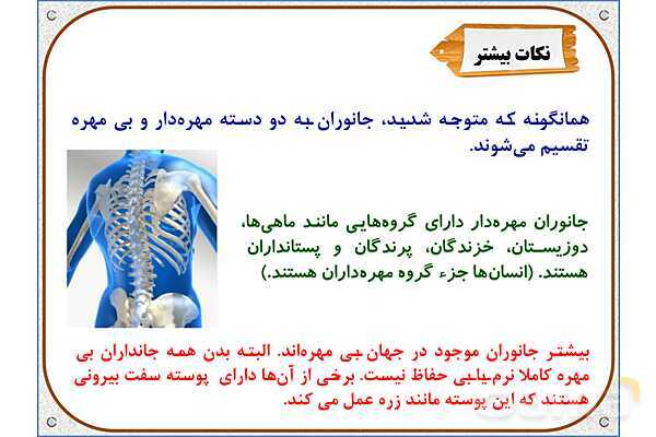 پاورپوینت علوم تجربی چهارم دبستان | درس 11: بیمهرهها- پیش نمایش
