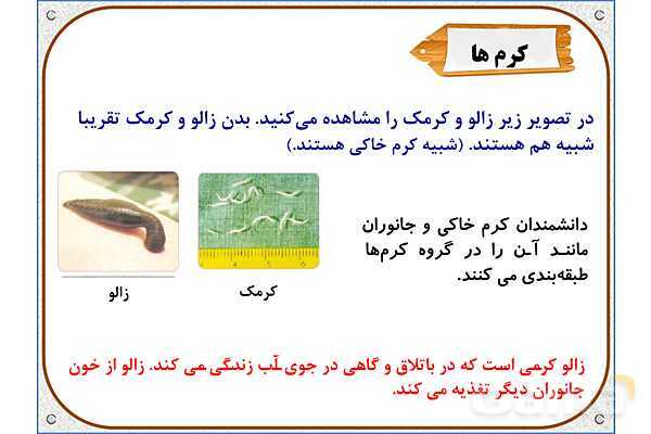 پاورپوینت علوم تجربی چهارم دبستان | درس 11: بیمهرهها- پیش نمایش