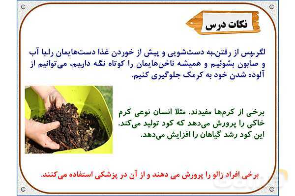 پاورپوینت علوم تجربی چهارم دبستان | درس 11: بیمهرهها- پیش نمایش
